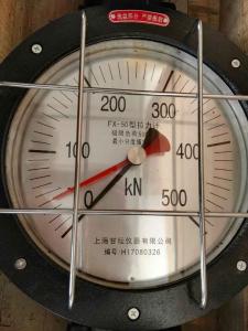運(yùn)輸機(jī)牽引拉壓力計(jì)FX-50噸 測(cè)量迅速.準(zhǔn)確