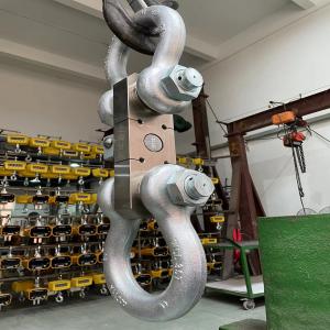 塔機(jī)平衡用100噸電子吊重儀器 可設(shè)定定力值